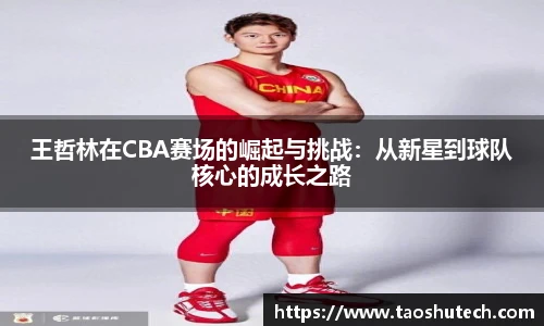 王哲林在CBA赛场的崛起与挑战：从新星到球队核心的成长之路
