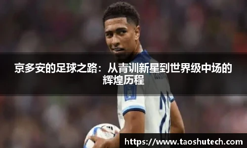 jn体育官网