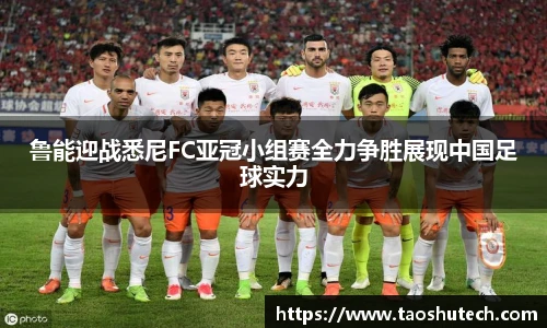 江南app.体育