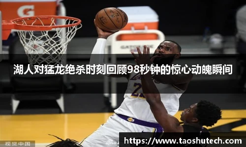 jn体育官网