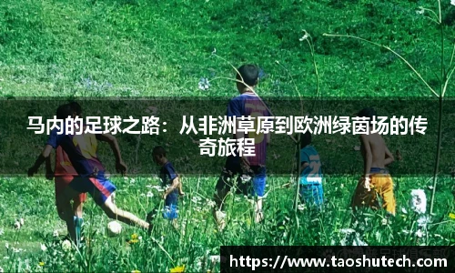 江南.体育jn