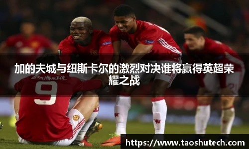 3377体育官网入口