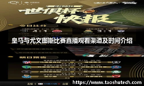 3377体育官网入口