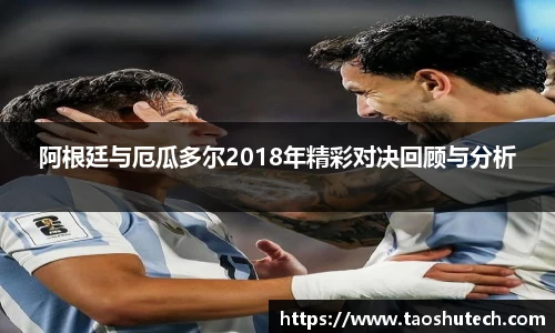 3377体育官网入口